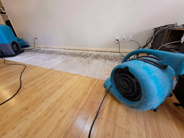 Professional Basement Flood Cleanup technician working in Meadow, UT